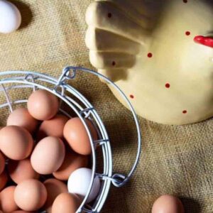 Cluck Cluck Egg Basket