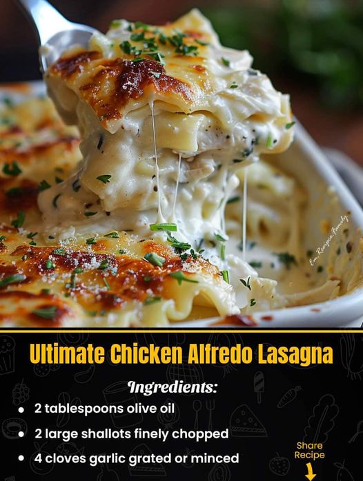Ultimate Chicken Alfredo Lasagna 583605866_122244034706144115_4002054543196210142_n