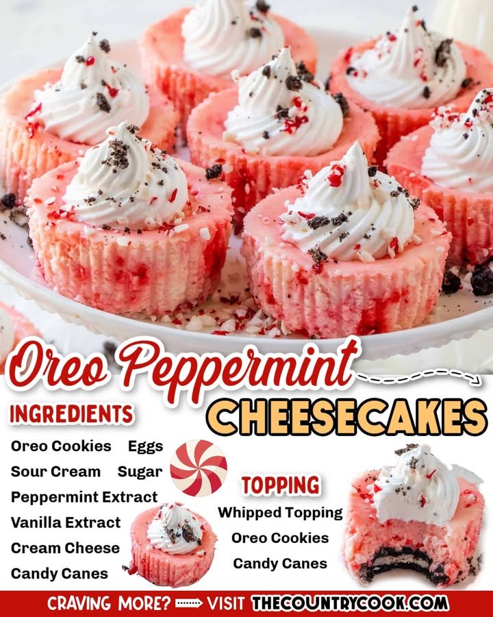 Oreo Peppermint Mini Cheesecakes
