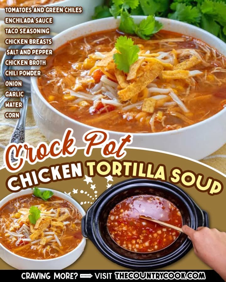 Crock Pot Chicken Tortilla Soup