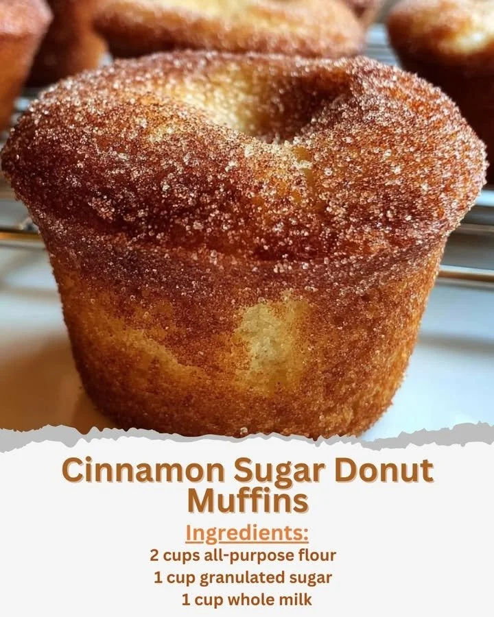 Cinnamon Sugar Donut Muffins Delicious cinnamon sugar donut muffins fresh out of the oven