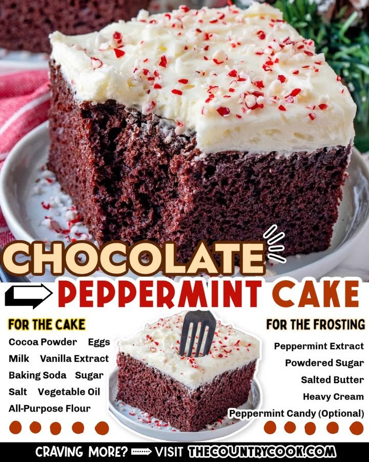 Chocolate Peppermint Cake