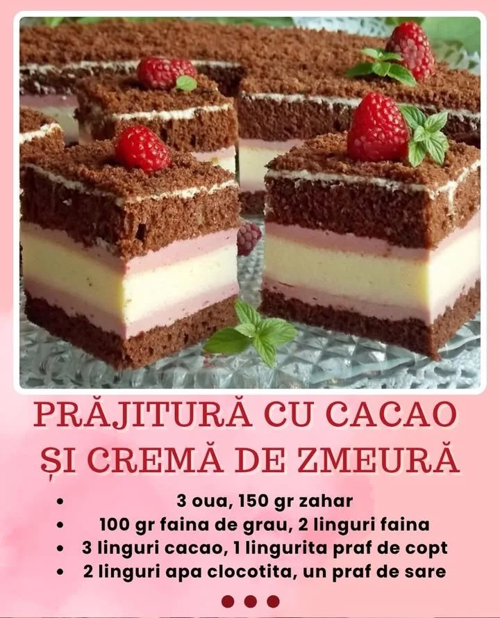 Prăjitură cu blat de cacao, cremă de zmeură și brânzică, delicioasă și rafinată