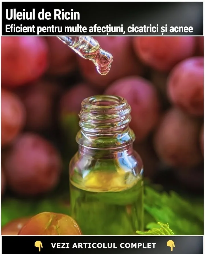 Uleiul de Ricin ➺ Eficient pentru Artrită, Hemoroizi, Cicatrici și Acnee