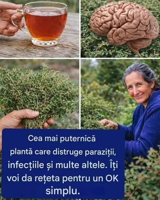 Un OK simplu Imagine reprezentând conceptul de OK simplu în comunicare